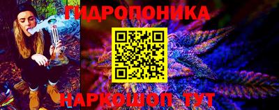 соль ск Пугачёв