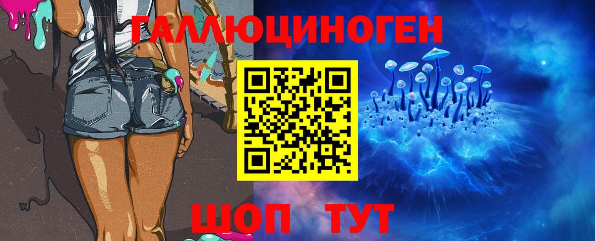 Канабис  Вход с VPN  А ПВП СК кристаллы  COCAIN  АМФЕТАМИН   МЕФ   Семёнов  Гашиш 