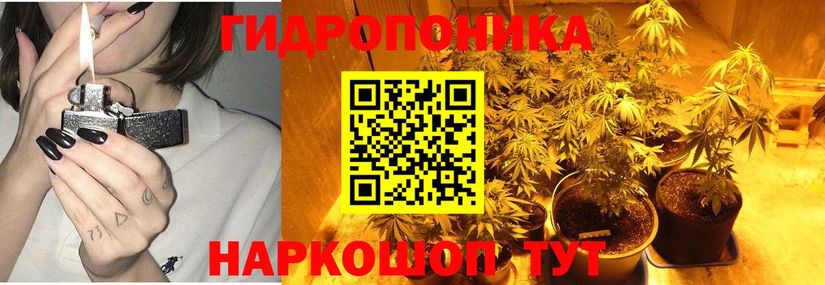 Шишки марихуана семена  Бошки марихуана White Widow  Вход с VPN  Семёнов  Бошки Шишки LSD WEED 